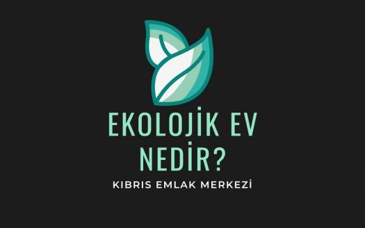 ekolojik-ev-nedir