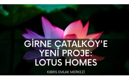 lotus-homes-girne-çatalköy-villa-projesi
