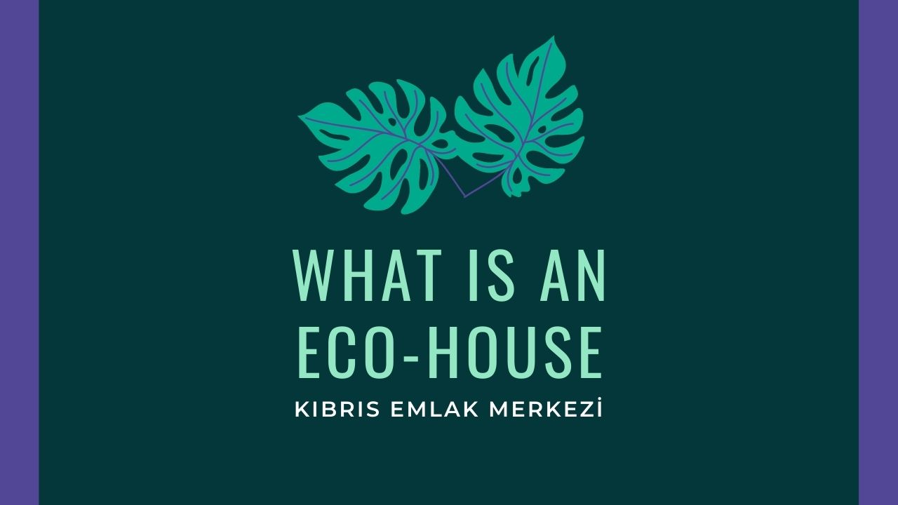 what-is-an-eco-house