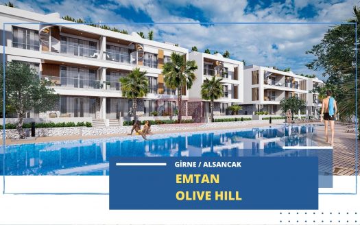 emtan olive hill