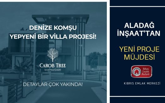 carob tree aladağ inşaat