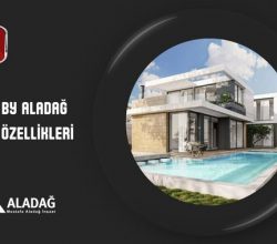 slider-thumb