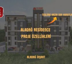 slider-thumb
